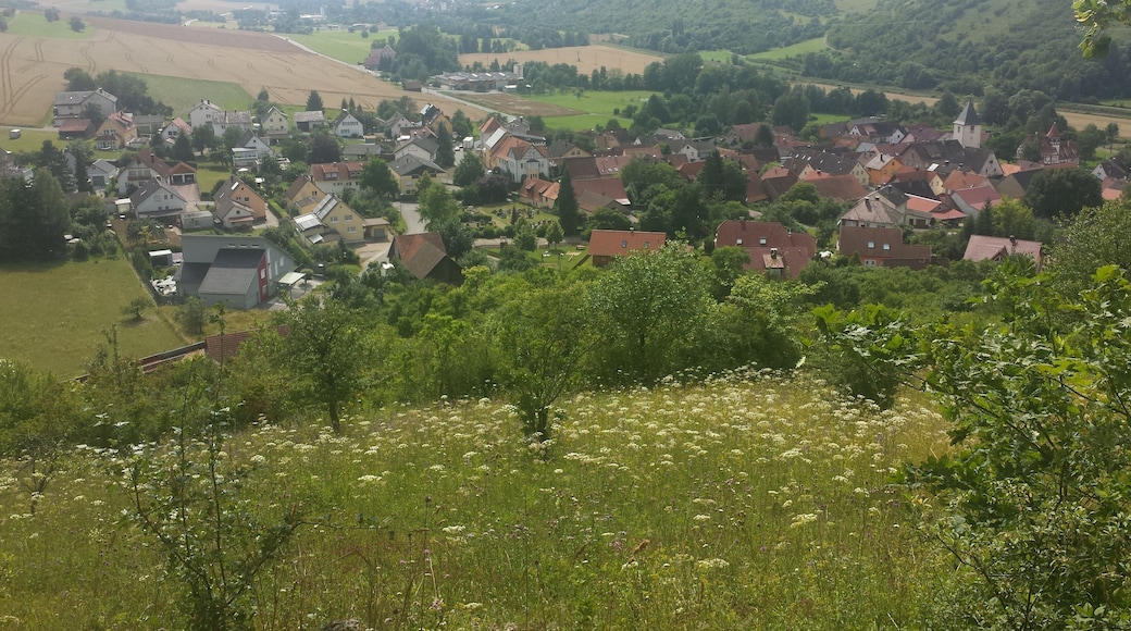 Jakobsweg Main-Jakobsweg Main-Taubertal bei Sachsenflur. Blick auch Sachsenflur.