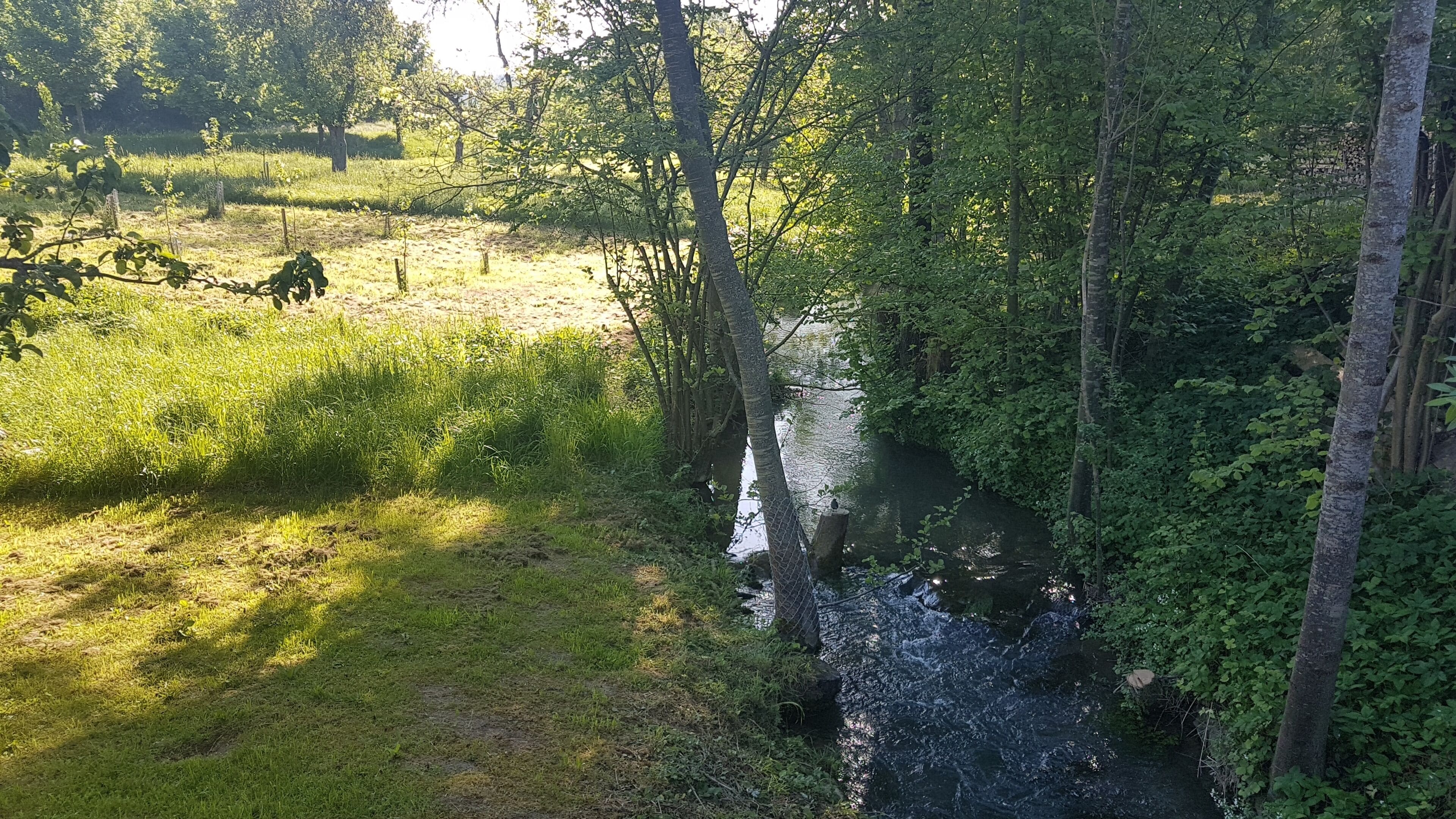 Der Balbach bei Unterbalbach (kurz nach dem Ortsende; Bild in Richtung Oberbalbach)