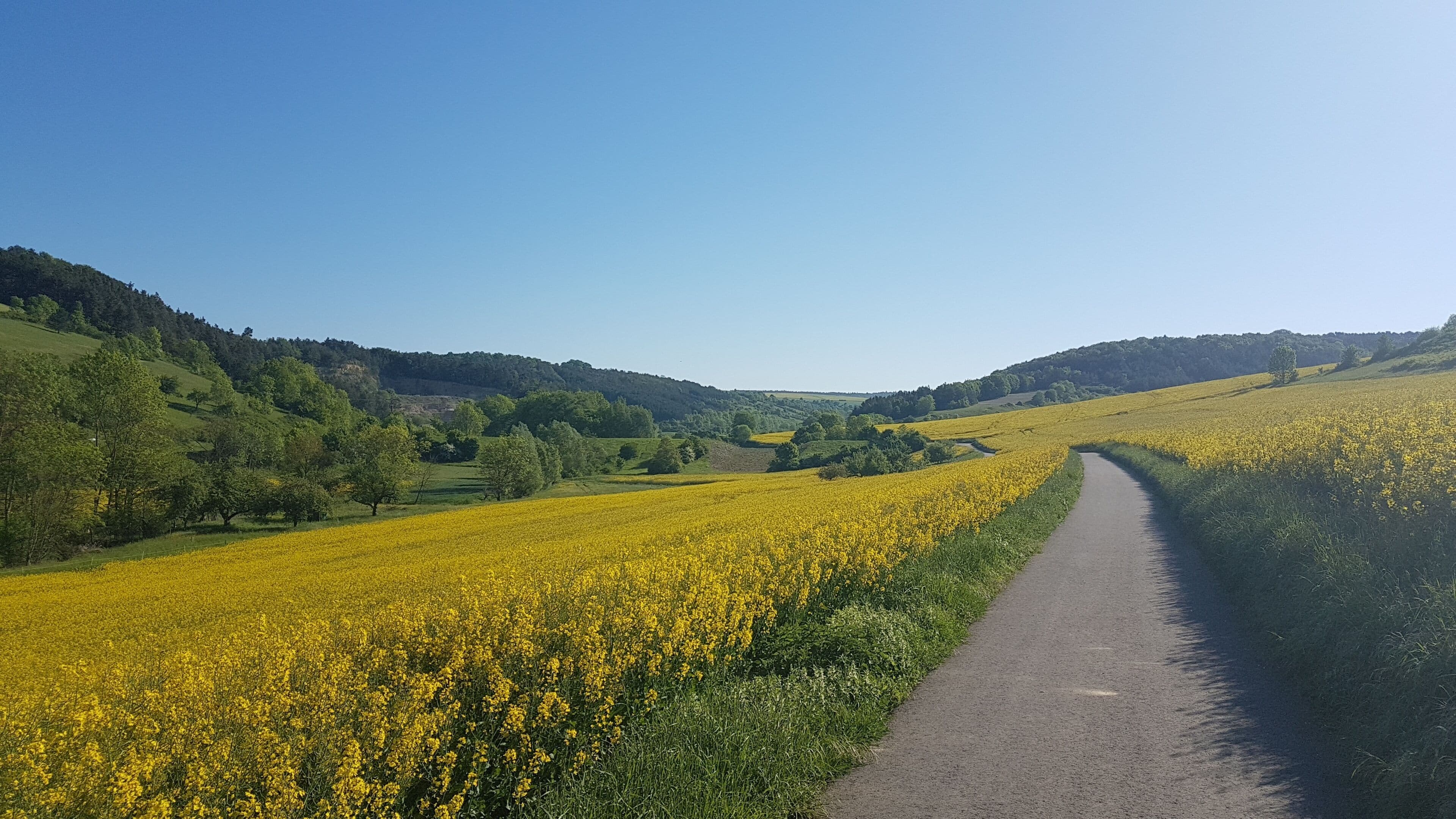 Der Balbachtalradweg zwischen Unterbalbach und Oberbalbach