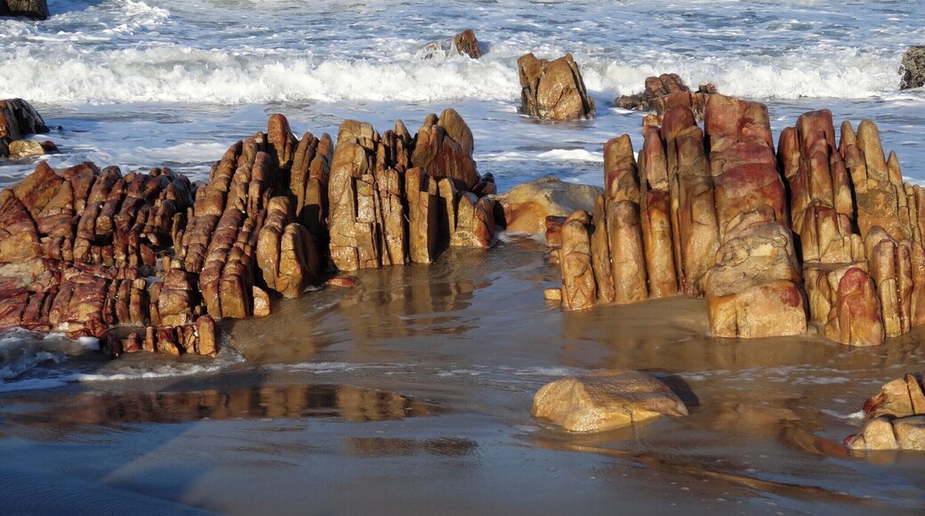 #Aquiraz #Beach
Walking on the beach
Rochas douradas na Praia de Aquiraz.
Passeios pela praia no final do dia são sempre inspiradores.