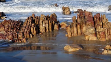 #Aquiraz #Beach
Walking on the beach
Rochas douradas na Praia de Aquiraz.
Passeios pela praia no final do dia são sempre inspiradores.