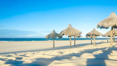Many sun umbrellas at the beach sand