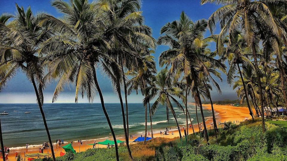 A beach with palm trees, ocean waves, and people.