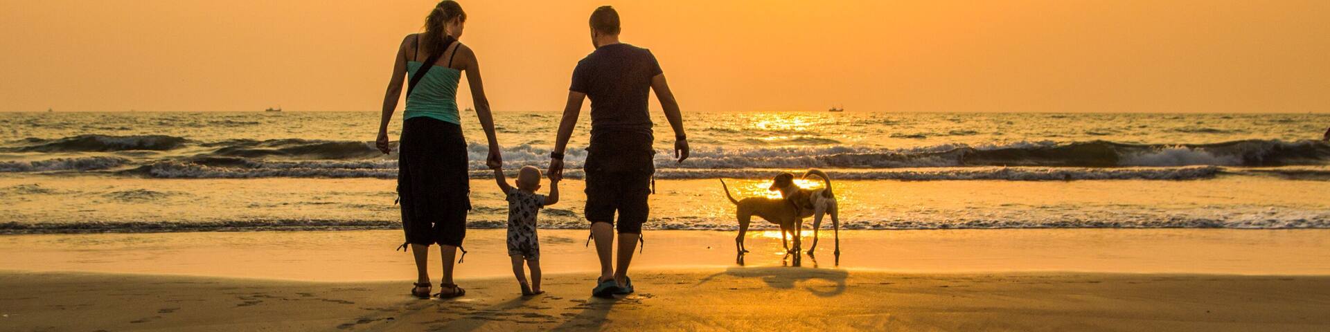 Happy family - father, mother, baby son hold hands and dogs at sunset sea. Arambol beach, North Goa, India