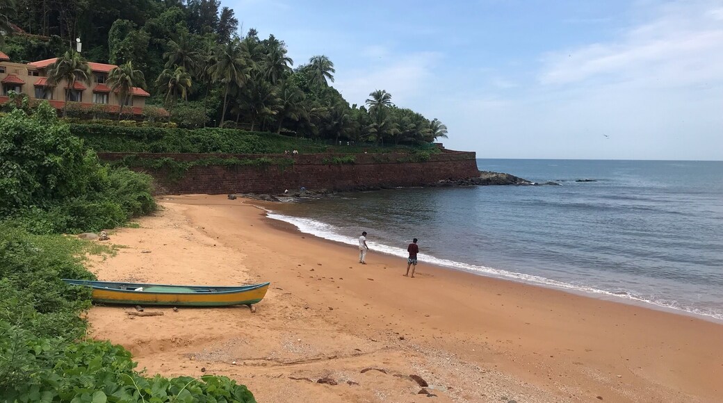 Candolim Beach in #goa #india