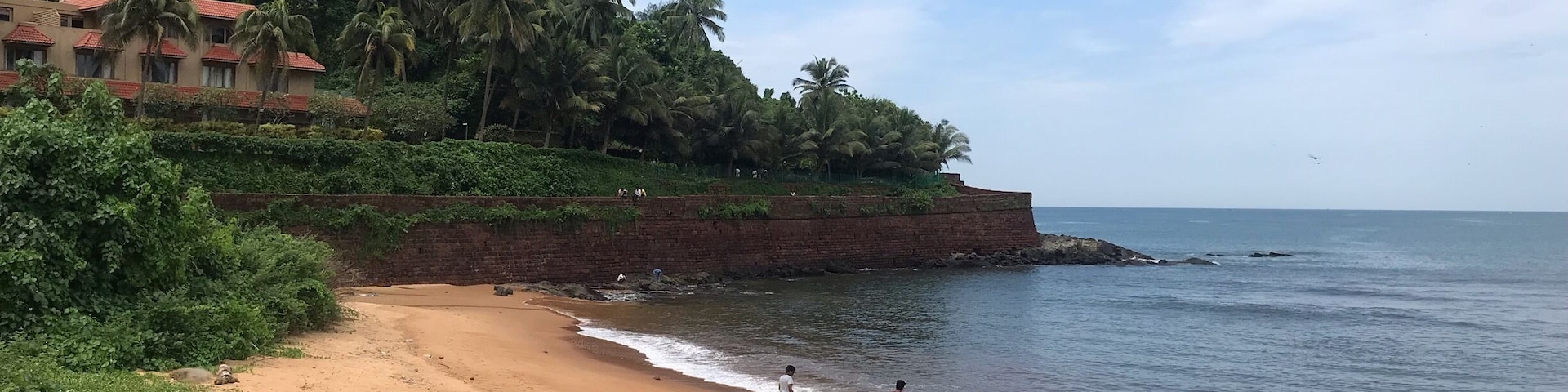Candolim Beach in #goa #india