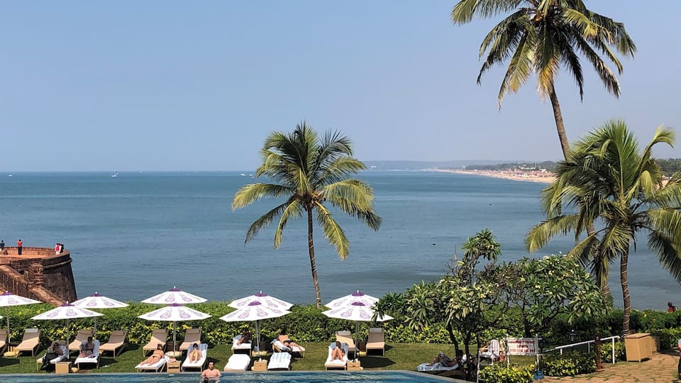 A poolside area with lounge chairs and umbrellas, palm trees, and a view of the ocean.