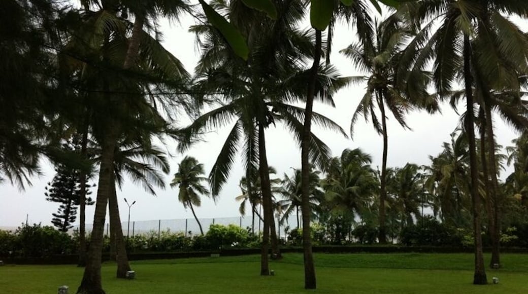 Awesome place to unwind.