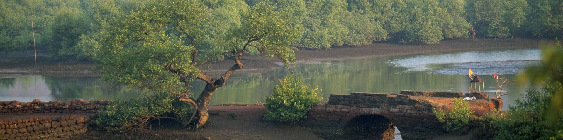 India, Goa, Candolim, Our Lady of Hope Church