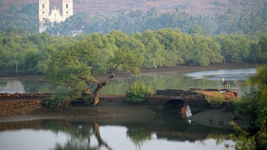 India, Goa, Candolim, Our Lady of Hope Church