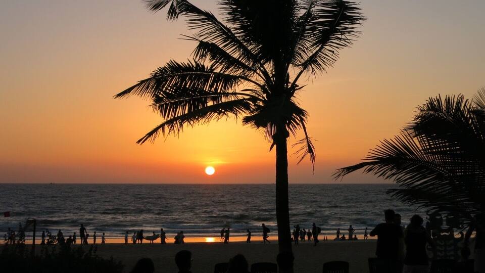 A sunset over the ocean with palm trees and beachgoers.