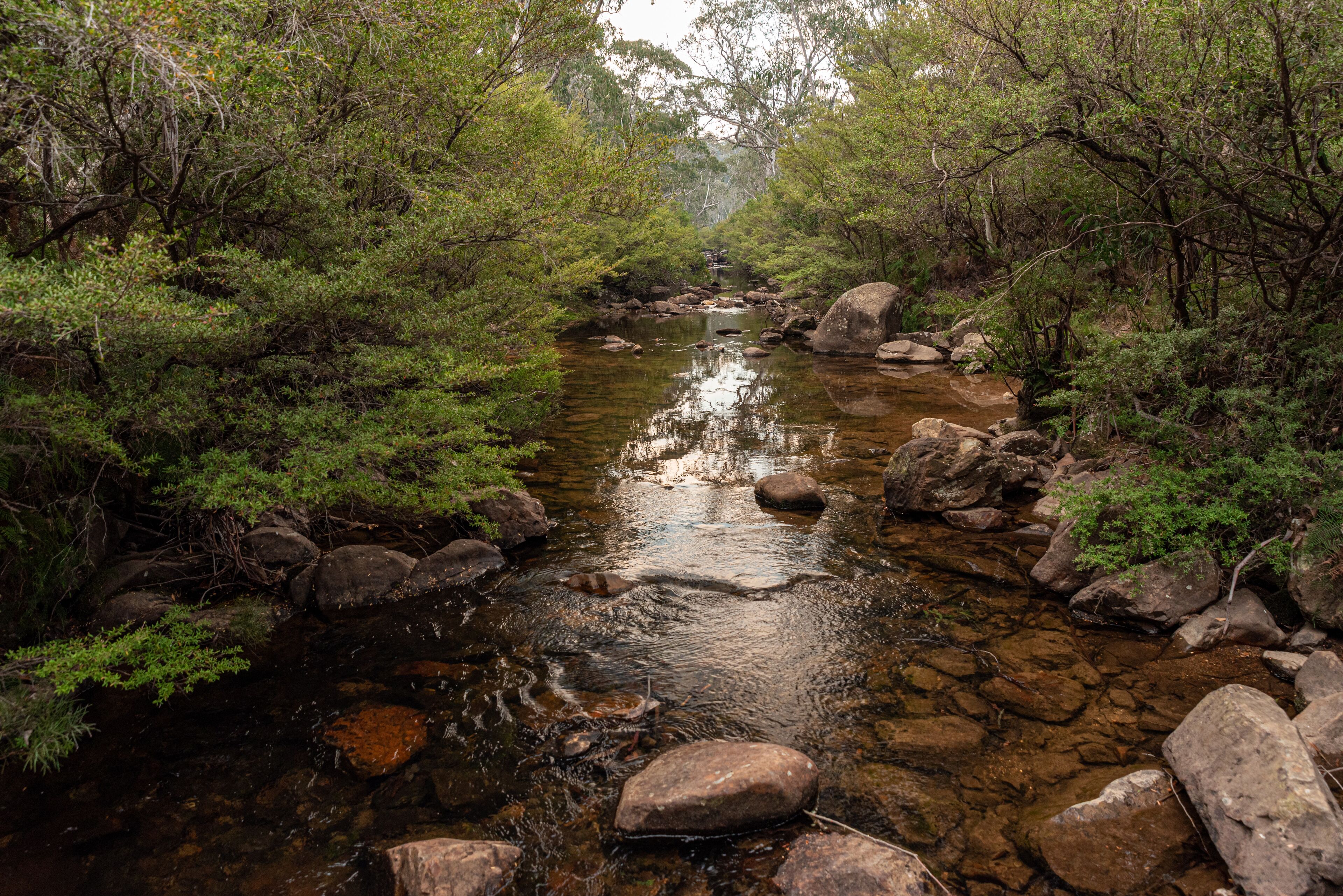 gloucester river australia in drought , low river
