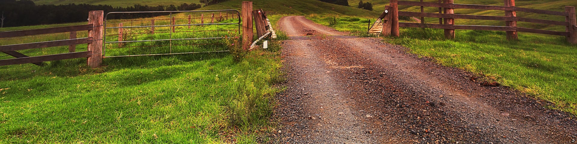 BTops gloucester Rd Gate Cattle sign