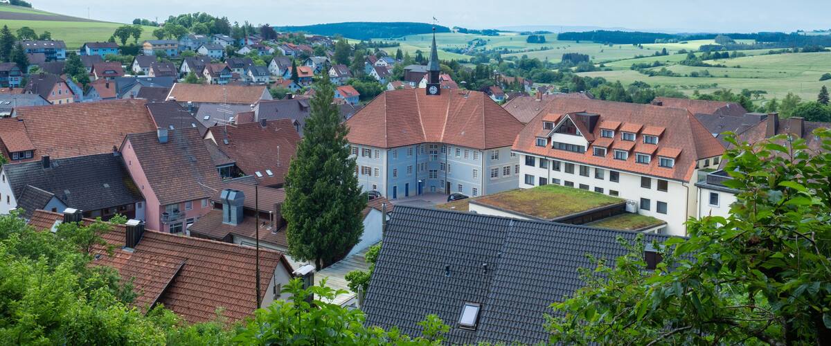 A town with red-roofed buildings, a church, and green fields in the background.