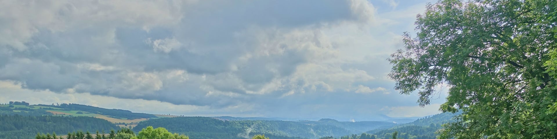 Im Naturschutzgebiet Vogtsberg.