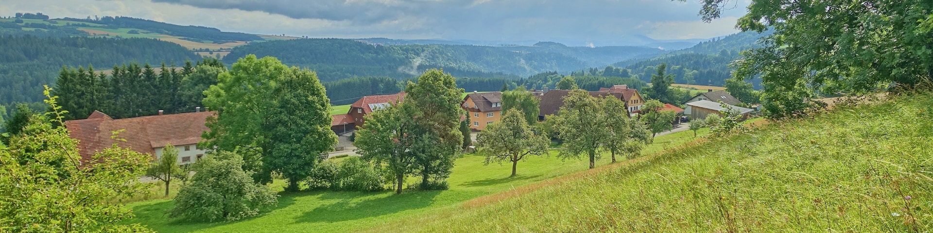 Im Naturschutzgebiet Vogtsberg.