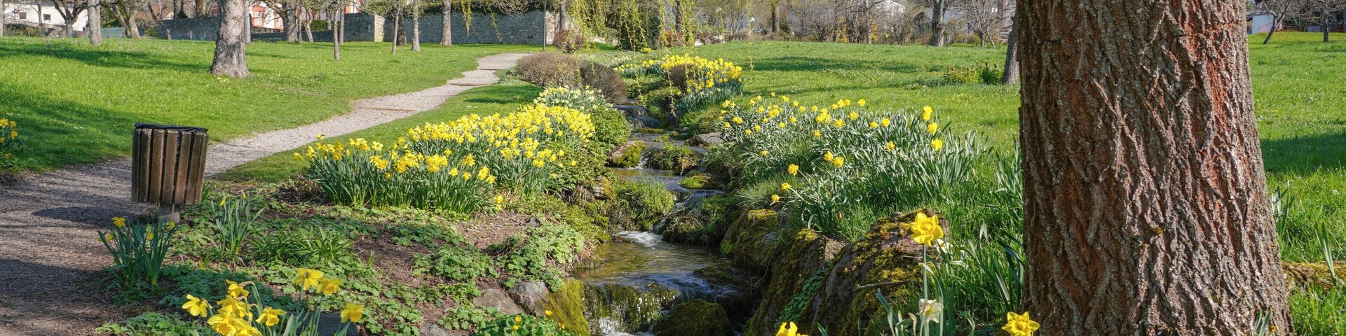 Un parque con un arroyo, flores amarillas y árboles.