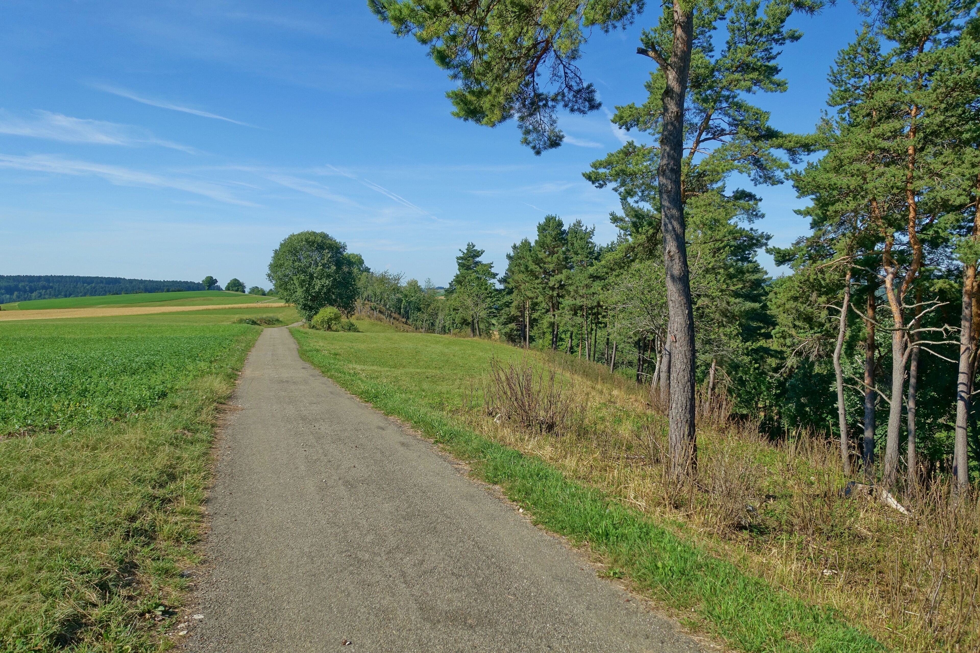 Naturschutzgebiet Steppenheide Hardt