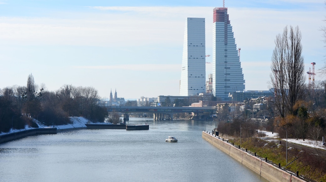 Vue sur Bâle depuis Birsfelden. Rhin, Roche Turm Bau 1 et 2, Schwarzwaldbrücke, Suisse