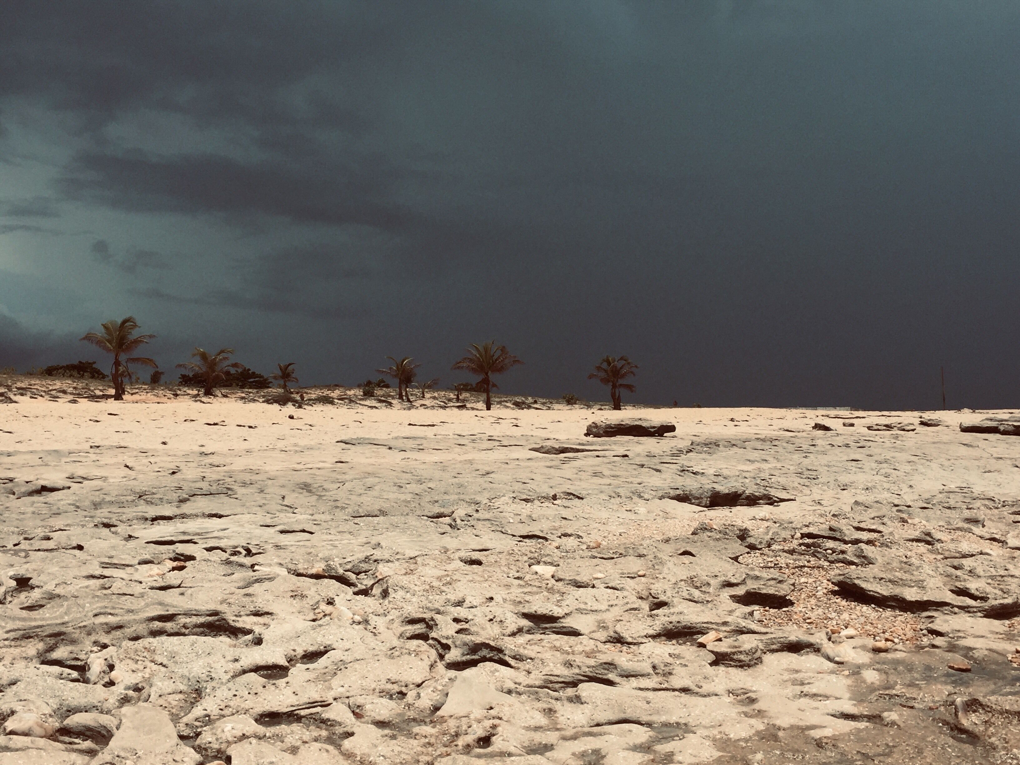 Armando tempo de chuva