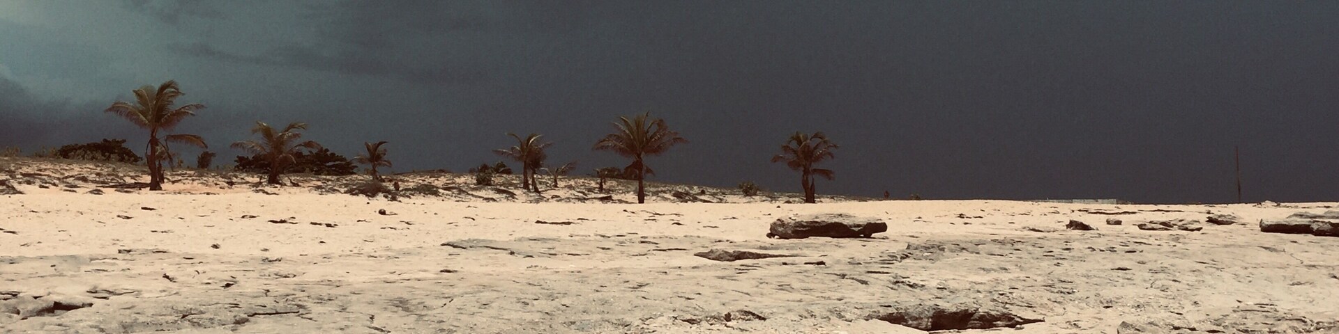 Paisagem desértica com palmeiras esparsas e terreno rochoso sob um céu tempestuoso.