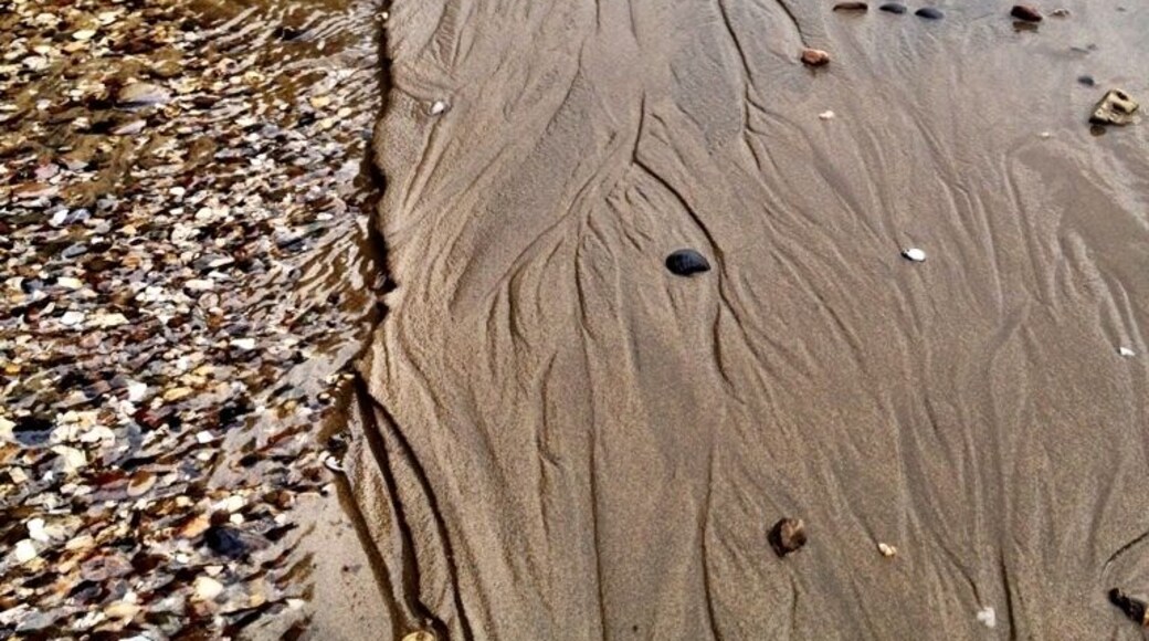 À small brook passes thought The river sand into The river rhine.