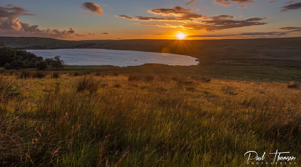 Lovely scenery from our narrow boat holiday on the Ashby-de-la-Zouch Canal