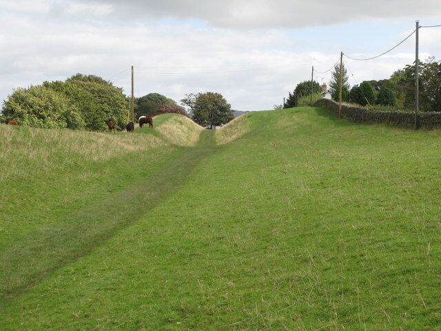 A grassy hill with a fence, trees, and a utility pole.