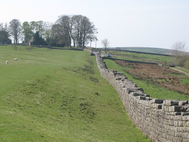 A stone wall, green grass, sheep, and trees in a rural landscape.