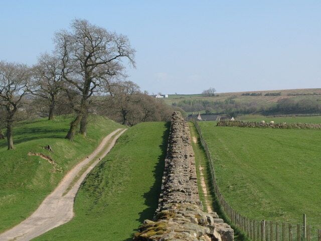 Hadrian's Wall and its north defensive ditch east of Willowford Farm (2) The track to the farm runs in the north defensive ditch.