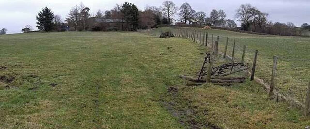 A grassy field with a muddy path and a wooden fence.