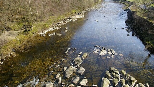 River South Tyne looking upstream from Eals Bridge