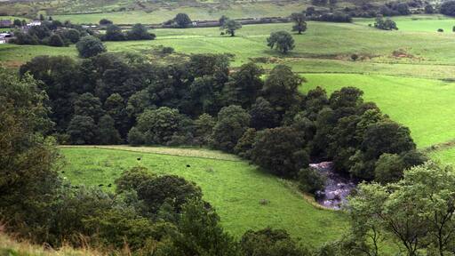 Irthing river panorama - Along the Hadrian's wall between Brampton - Wallton and Gilsland - Cumbria - Northumberland - England - UK