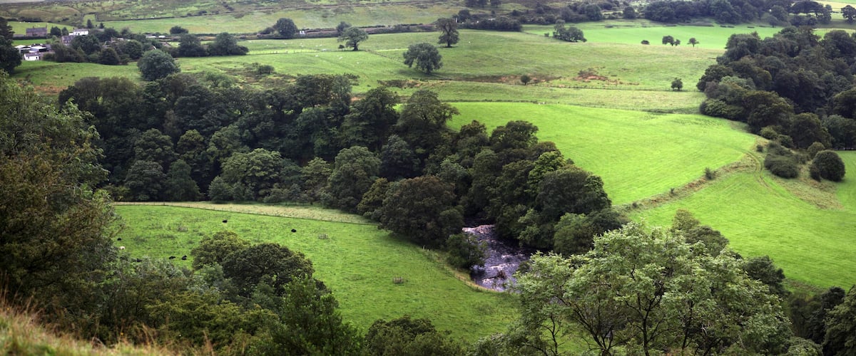 A lush green valley with rolling hills, a small stream, and scattered trees.