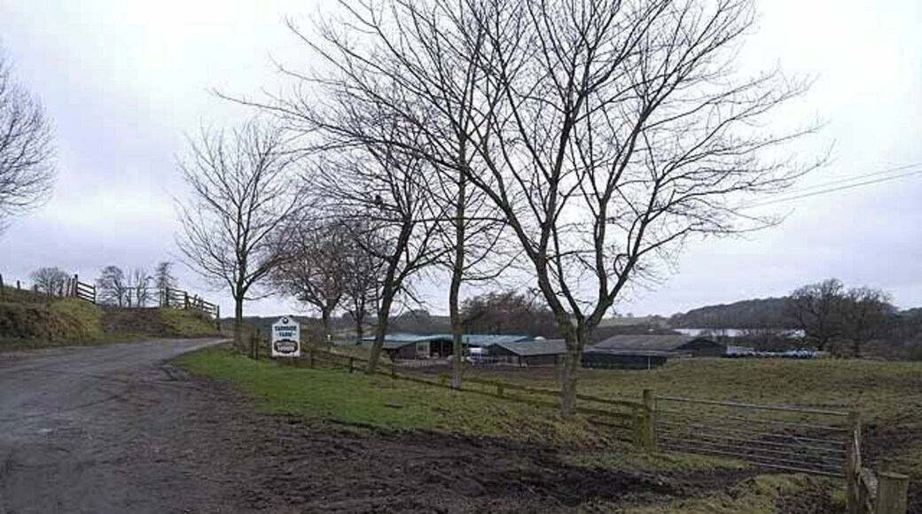 Tarnside Farm, Farlam Anyone coming to stay B and B or in one of the self-catering lodges at Tarnside Farm, might be a tad disappointed to find that Talkin Tarn is actually a good 500 metres away.