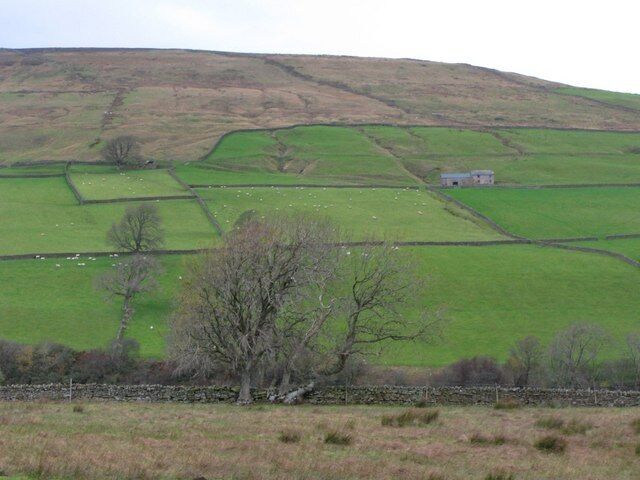 The valley of Knar Burn (2) Looking across the valley to Field Head from the minor road to Knar.