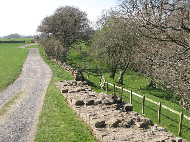 Hadrian's Wall and its north defensive ditch east of Willowford Farm (5)