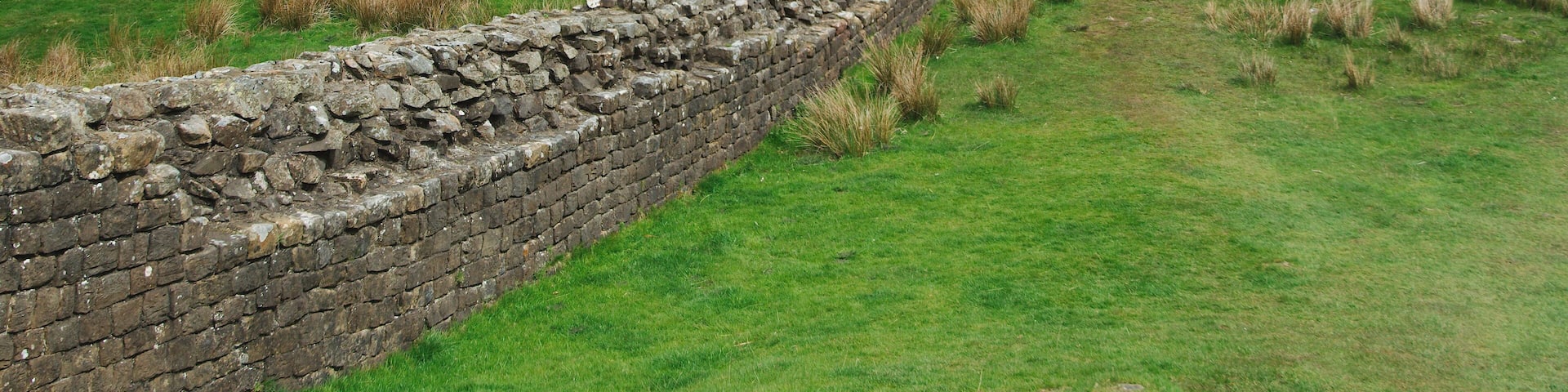 A stone wall winding through a grassy landscape with trees and a cloudy sky.