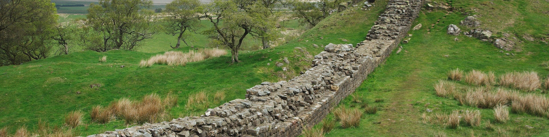 Um muro de pedra serpenteando por uma paisagem gramada com árvores e céu nublado.