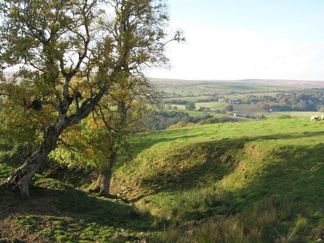 Cleugh and pastures near The Bog Farm The building in the distance is Softley Farm in NY6755 on the far (west) side of the valley of the River South Tyne.