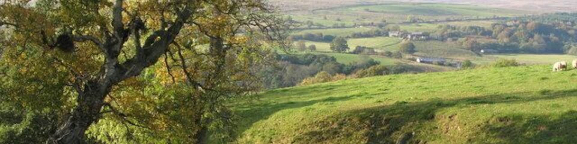 Cleugh and pastures near The Bog Farm The building in the distance is Softley Farm in NY6755 on the far (west) side of the valley of the River South Tyne.
