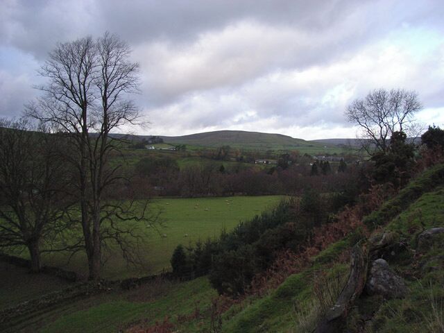 Above Williamston Looking down onto pastures beside the South Tyne.