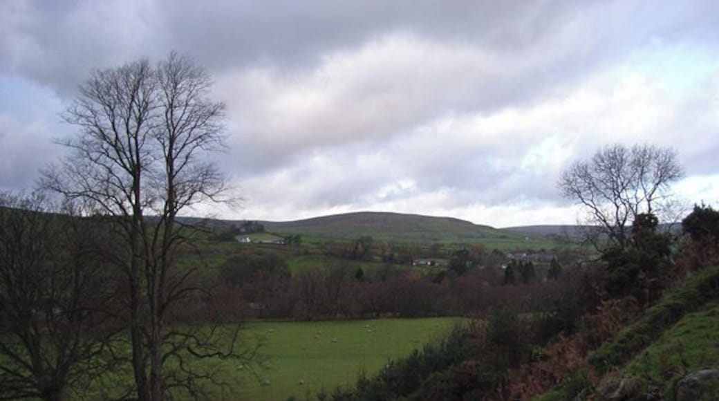 Above Williamston Looking down onto pastures beside the South Tyne.