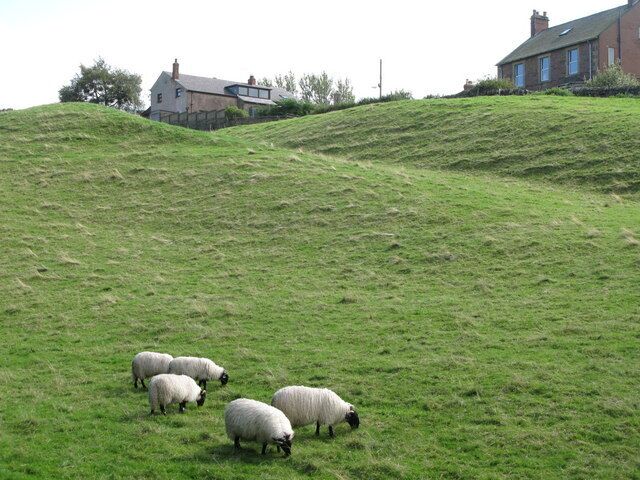 A grassy hill with sheep grazing and houses in the background.