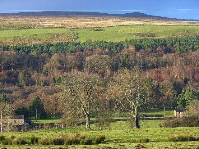 Pasture, Eals Looking across the South Tyne valley. Bands of colour are created by different types of woodland beyond the river, the contrast between improved and unimproved grassland and by the shadow cast over the top of the hillside.
