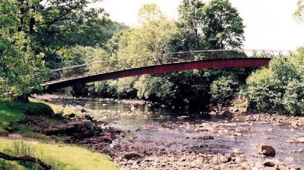 Footbridge by Hadrian's Wall. The footbridge was constructed to accommodate walkers on the new National Trail.
