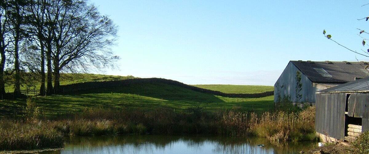 A pond, a wooden fence, a barn, and trees.