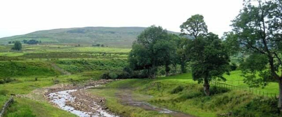 Eine ländliche Landschaft mit einem sich schlängelnden Bach, sanften Hügeln und vereinzelten Bäumen.