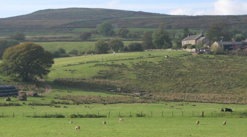 Softley Farm Taken from close to Eals Bridge in NY6855. In the distance is Larchet Hill in NY6555.