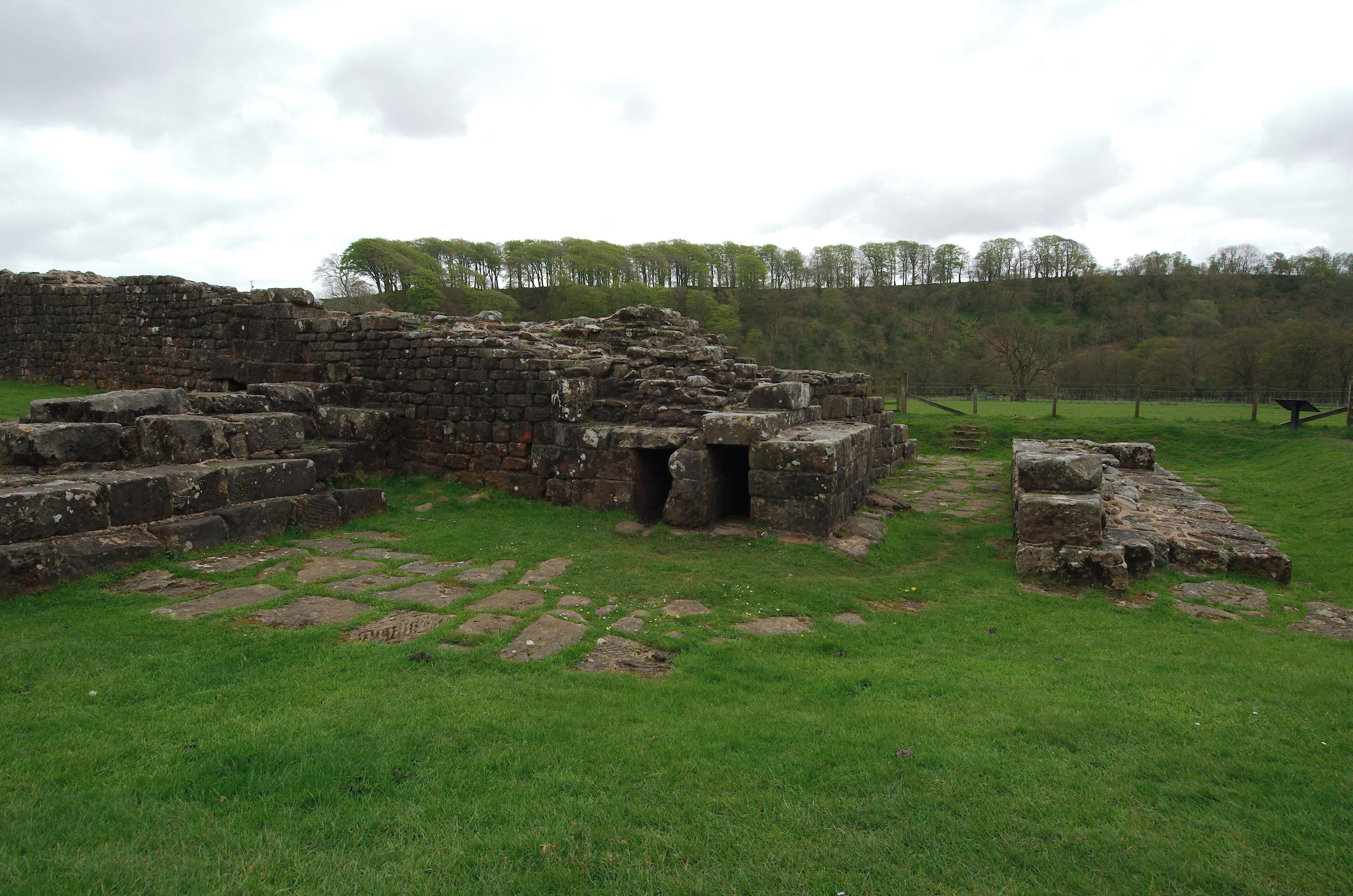 Ancient stone ruins with a grassy field and a forest in the background.